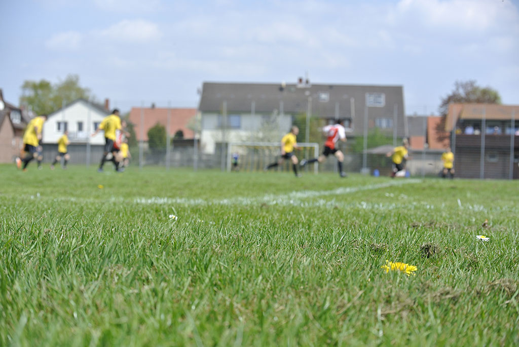 SVSv1900-werde-Mitglied